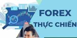 Khoá Học Forex thực chiến