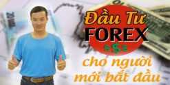 khoá học Đầu tư Forex cho người mới bắt đầu