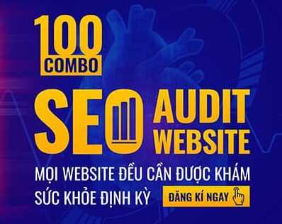 Combo SEO Audit Website