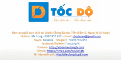 Share khóa học Thầy Tiểu Long FX - Chứng Khoán, Forex, Crypto nâng cao (SPECIAL)