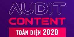 Share khóa học audit content toàn diện gtvseo