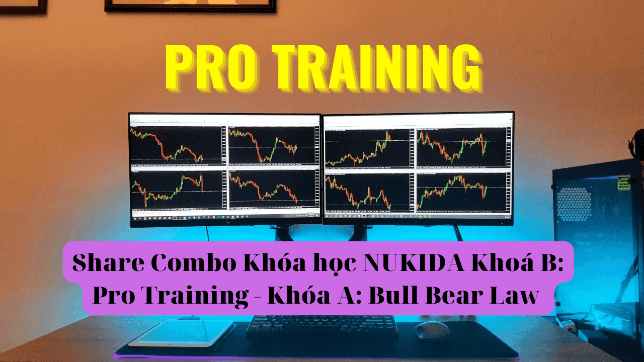 Share Combo Khóa học NUKIDA Khoá B Pro Training - Khóa A Bull Bear Law
