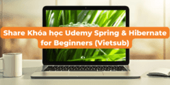 Khóa học Udemy Spring & Hibernate for Beginners (Vietsub)