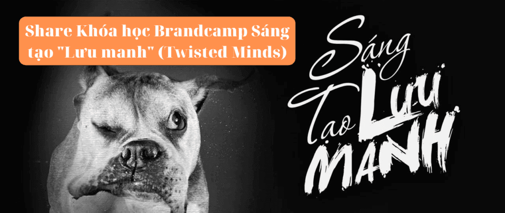 Khóa học Brandcamp Sáng tạo “Lưu manh” (Twisted Minds)