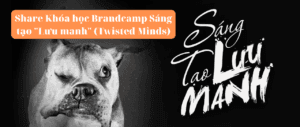 Share Khóa học Brandcamp Sáng tạo Lưu manh (Twisted Minds)