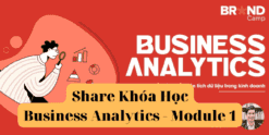 Share Khóa Học Business Analytics - Module 1