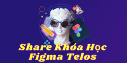 Share Khóa Học Figma Telos