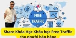 Share Khóa học Free Traffic cho người bán hàng