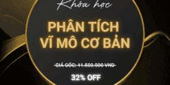Share Khoá Học Phân Tích Vĩ Mô Cơ Bản của Koliaphan