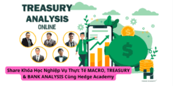 Share Khóa Học Nghiệp Vụ Thực Tế MACRO, TREASURY & BANK ANALYSIS Cùng Hedge Academy