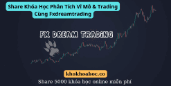 Share Khóa Học Phân Tích Vĩ Mô & Trading Cùng Fxdreamtrading