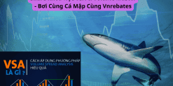 Share Khóa Học VSA & Volume Master - Bơi Cùng Cá Mập Cùng Vnrebates