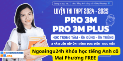 Ngoaingu24h Khóa học tiếng Anh cô Mai Phương FREE