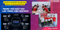 Chia Sẻ Lộ Trình Đào Tạo Lập Trình Python Tại Nestech Mới Nhất