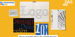 Share Full Bộ Khóa Học DAS Design