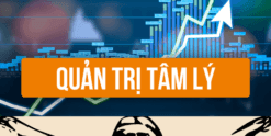 Share Khóa Học Da Vinci Academy - Học Quản Trị Tâm Lý Chứng Khoán