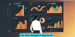 Học Data Analytics Cùng Gia Sư