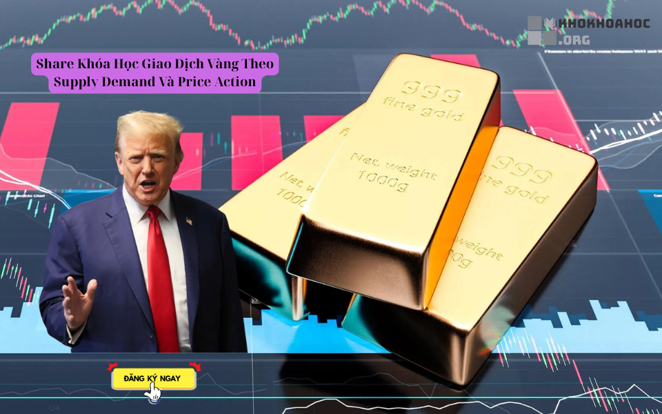 Share Khóa Học Giao Dịch Vàng Theo Supply Demand Và Price Action